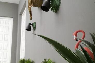 The Urban Jungle Hostel