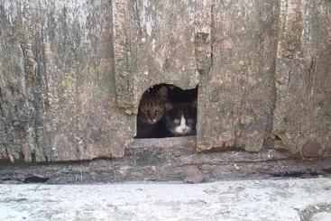 هاستل Rural El Secreto Del Castillo