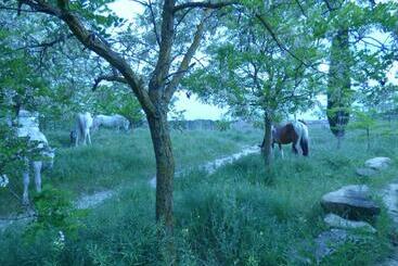 پانسیون Campo De Reyes