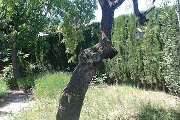 پانسیون Casa Rural El Gaiter