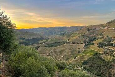 هتل Casa Dos Barros Winery Lodge By Vintage Theory