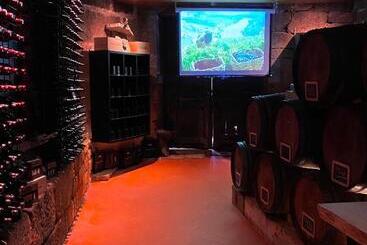 هتل Casa Dos Barros Winery Lodge By Vintage Theory