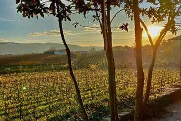 هتل Casa Dos Barros Winery Lodge By Vintage Theory