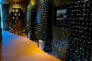 هتل Casa Dos Barros Winery Lodge By Vintage Theory