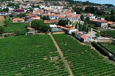 هتل Casa Dos Barros Winery Lodge By Vintage Theory