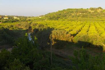پانسیون Vila Sodré Guest House