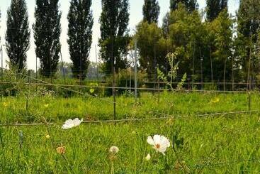 هتل Agriturismo Borgo San Francesco