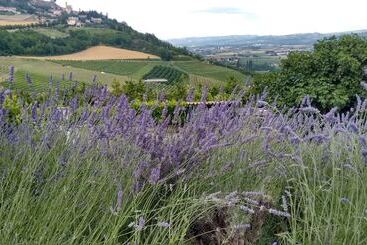 펜션 Agriturismo Solestelle