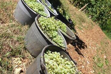 هتل Azienda Agricola Campion
