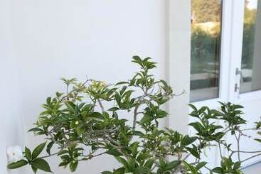 هتل Podere 43 Charme B&b