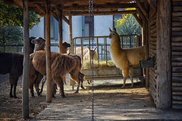 هتل Agriturismo Corte Benetti