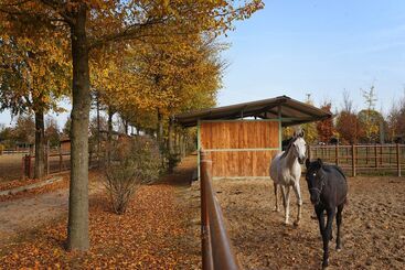 هتل Agriturismo Corte Benetti