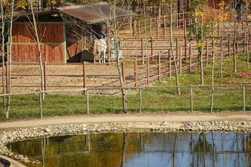 هتل Agriturismo Corte Benetti