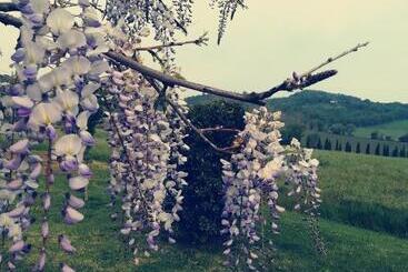هتل La Locanda Dell'olmo