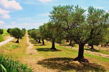 هتل Agriturismo L'antico Oliveto