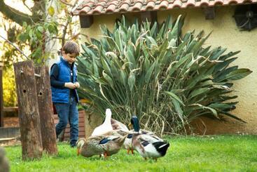 هتل Azienda Agrituristica Il Pago
