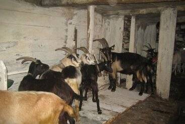 هتل Agriturismo Alagna