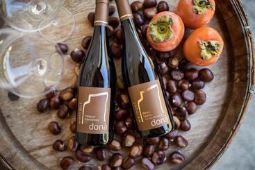 هتل Weingut Donà