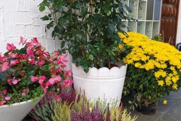 פנסיון Haus Bernhardt Fromm