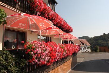 پانسیون Landgasthof Hotel Sauer