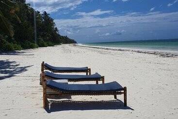 تختخواب و صبحانه Blue Palm Zanzibar