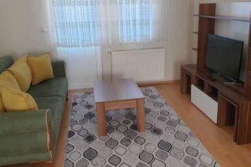 My Guse Suite