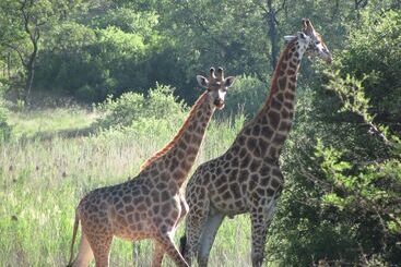 پانسیون La Barune Game Lodge