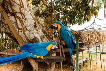 پانسیون Amazônia Parksuítes