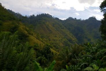 هاستل Ella River House