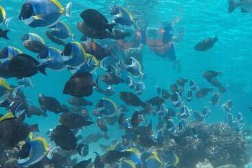 پانسیون Club Blu