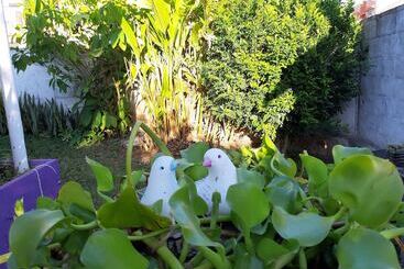 هاستل Hostal Guacamayas