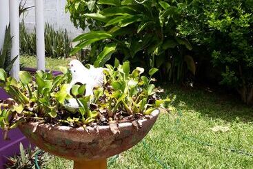 هاستل Hostal Guacamayas