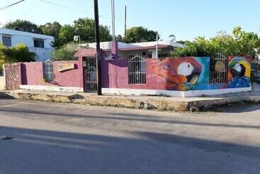 هاستل Hostal Guacamayas