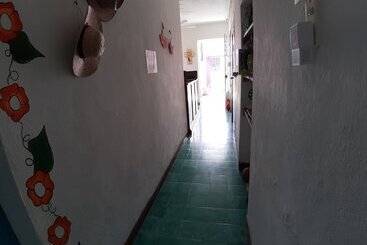 هاستل Hostal Guacamayas