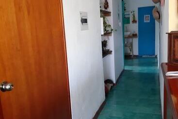 هاستل Hostal Guacamayas