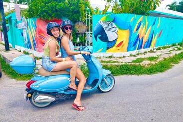 هاستل Hostal Guacamayas