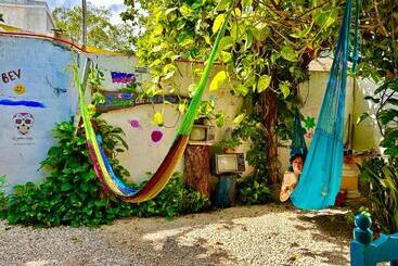 هاستل Hostal Guacamayas