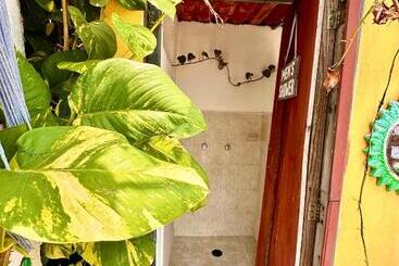 هاستل Hostal Guacamayas