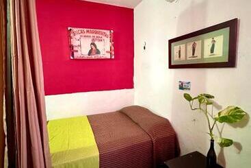 هاستل Hostal Guacamayas