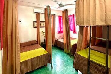 هاستل Hostal Guacamayas
