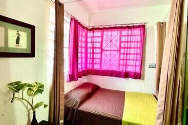 هاستل Hostal Guacamayas