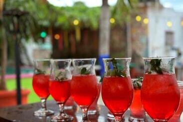 هاستل Hostal Guacamayas