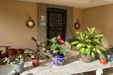 هاستل Ester`s Place