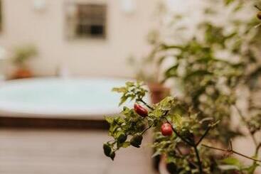 پانسیون Pousada Paty´s Garden
