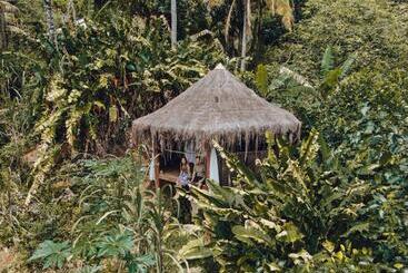 پانسیون Jungle Lodge