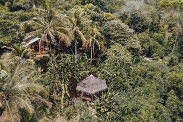 پانسیون Jungle Lodge