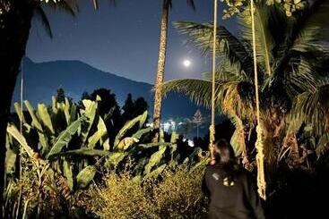 پانسیون Jungle Lodge