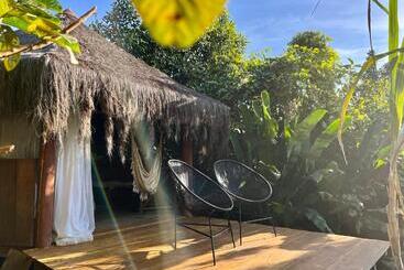 پانسیون Jungle Lodge