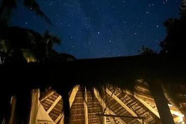 پانسیون Jungle Lodge