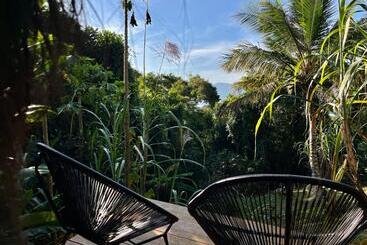 پانسیون Jungle Lodge
